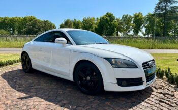 WhatsApp Image 2026-02-12 at 11.43.19